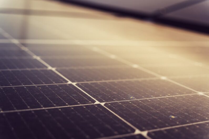 Impact van het faillissement van Sunleaves Solar Rotterdam